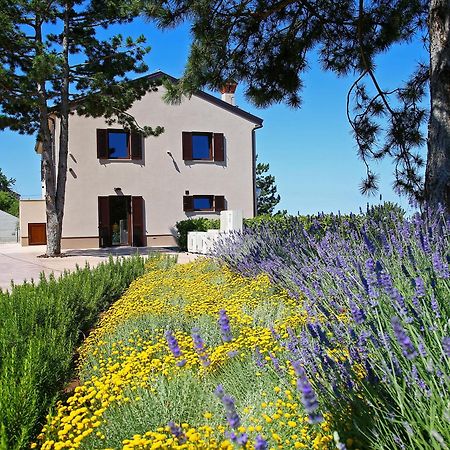Luxury Villa Gradin Gračišče Kültér fotó