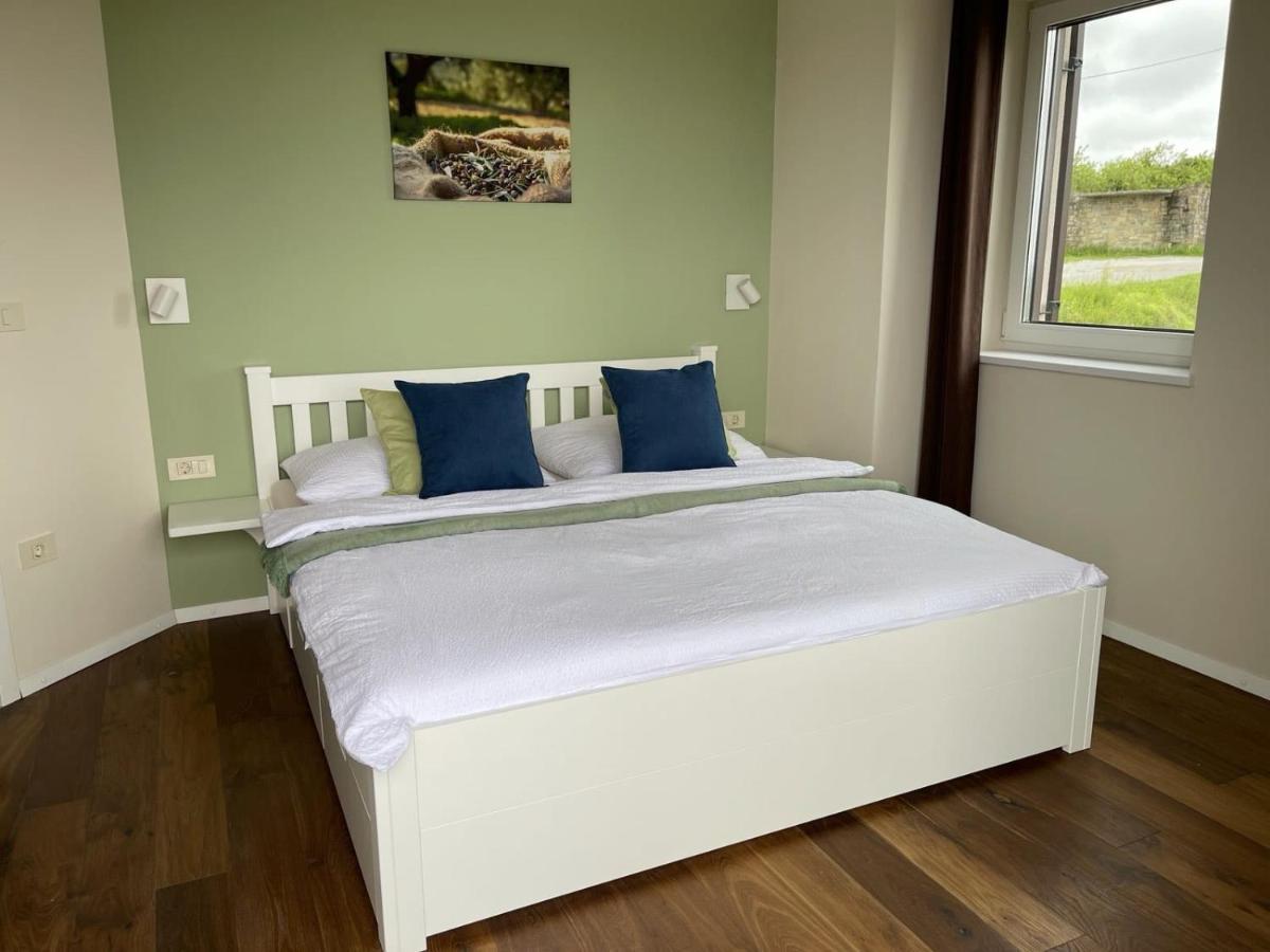 Luxury Villa Gradin Gračišče Kültér fotó