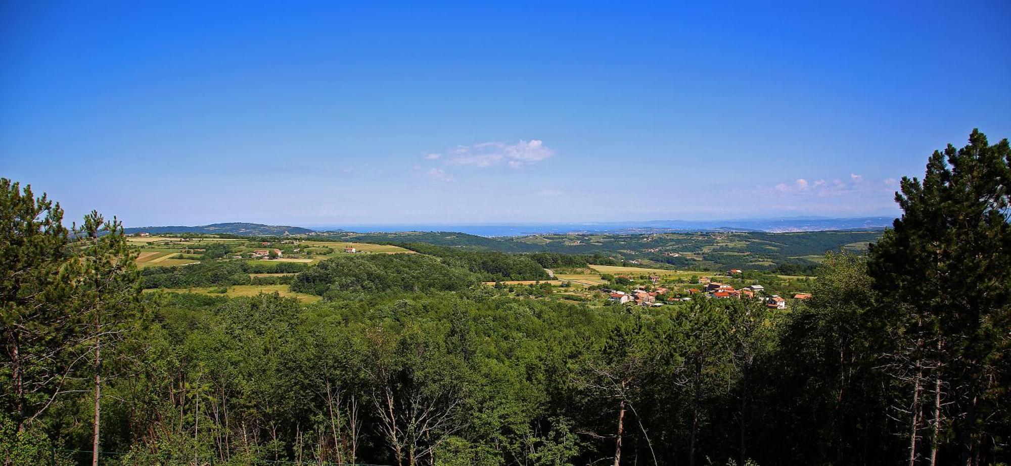 Luxury Villa Gradin Gračišče Kültér fotó