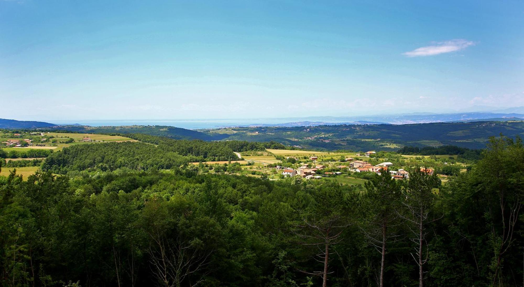 Luxury Villa Gradin Gračišče Kültér fotó