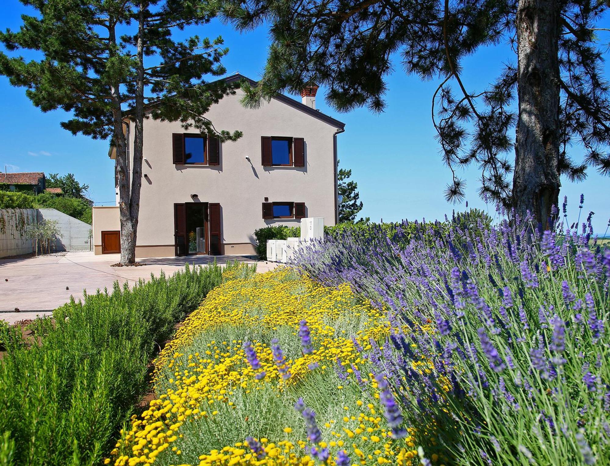 Luxury Villa Gradin Gračišče Kültér fotó